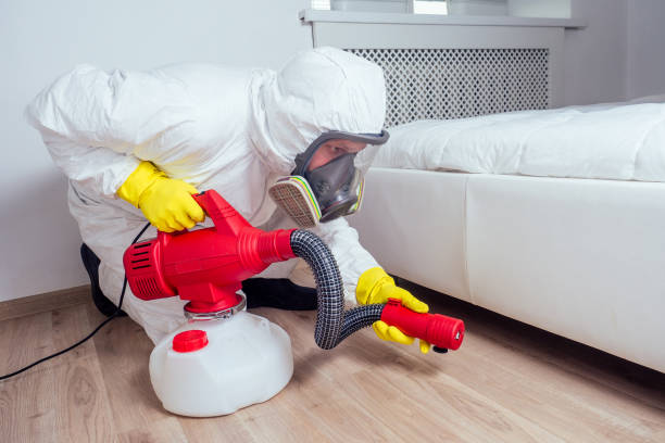 Best Commercial Pest Control  in Pierson, FL